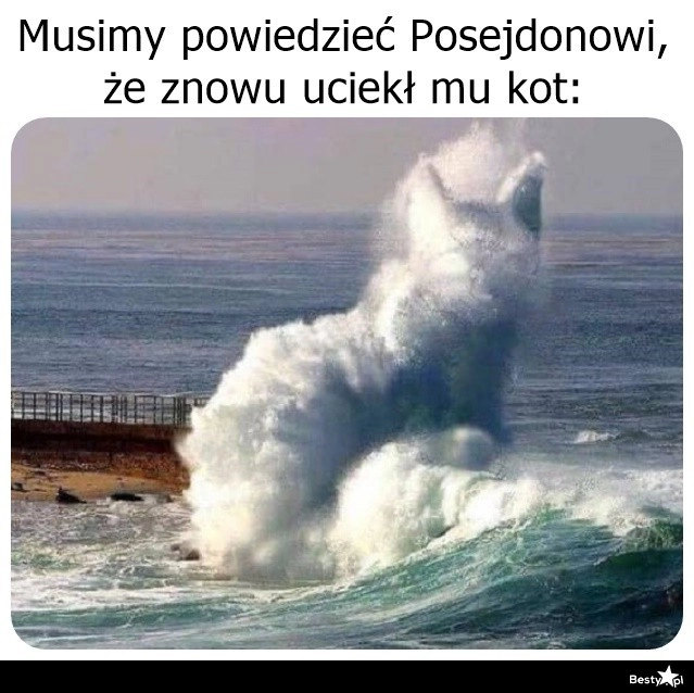 
    Kot Posejdona 