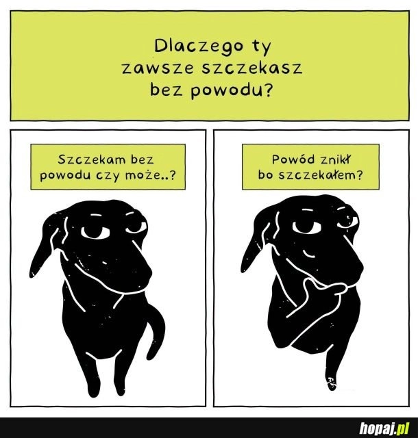 
    Pies