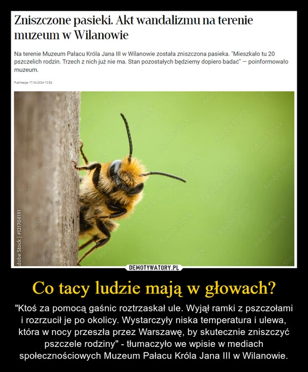 
    Co tacy ludzie mają w głowach?