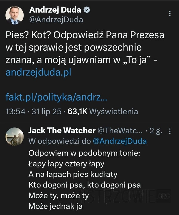 
    Pies?Kot?