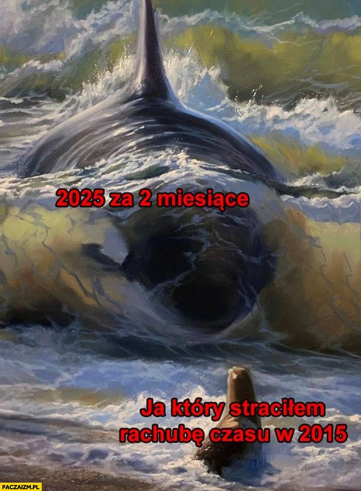 
    2025 za 2 miesiące vs ja który straciłem rachubę czasu w 2015