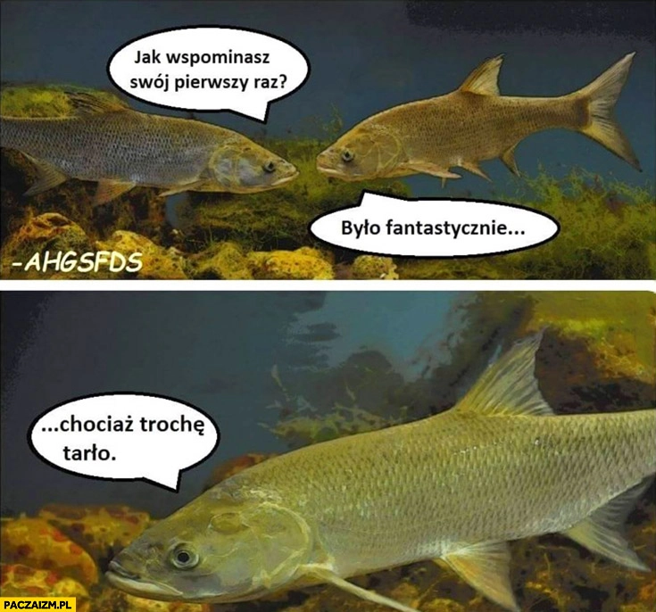 
    Jak wspominasz swój pierwszy raz? Było fantastycznie, chociaż trochę tarło ryba ryby