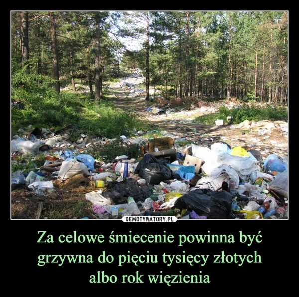 
    Za celowe śmiecenie powinna być grzywna do pięciu tysięcy złotych
albo rok więzienia
