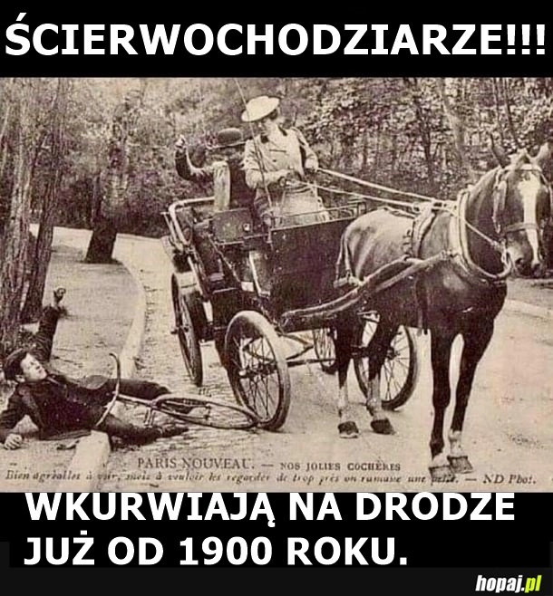 
    Ścierwochodziarze pies wam morde lizał ! 