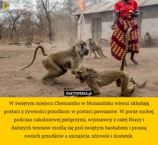 
    W świętym miejscu Chemambo w Mozambiku wierni składają postaci z żywności