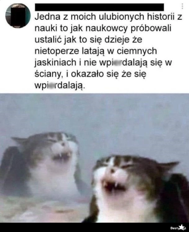 
    Jedna z ulubionych historii 