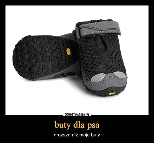 
    
buty dla psa 