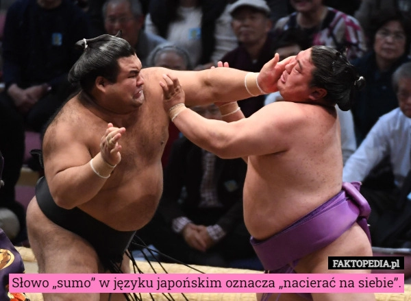 
    Słowo „sumo” w języku japońskim oznacza „nacierać na siebie”.