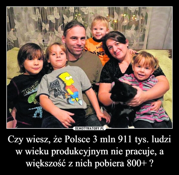 
    Czy wiesz, że Polsce 3 mln 911 tys. ludzi w wieku produkcyjnym nie pracuje, a większość z nich pobiera 800+ ?