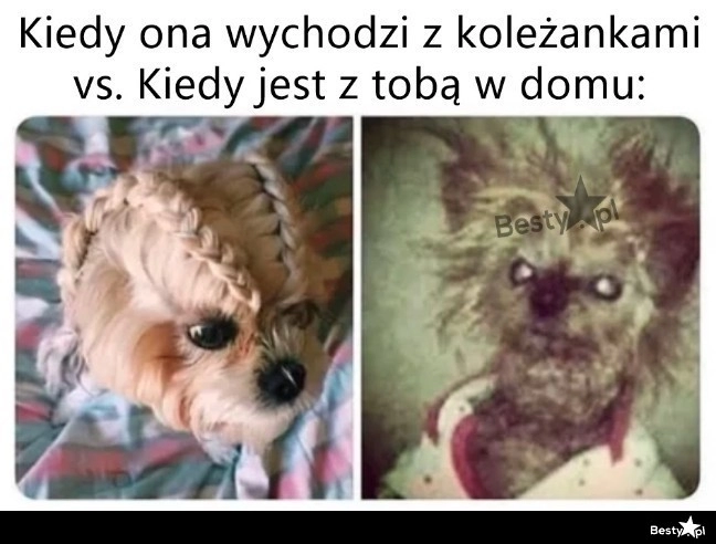 
    Drobna różnica 