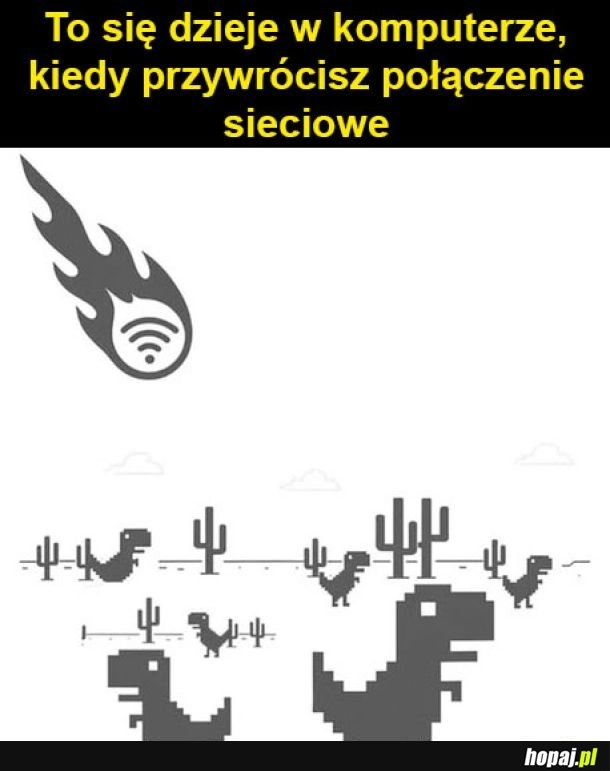 
    Połączenia sieciowe