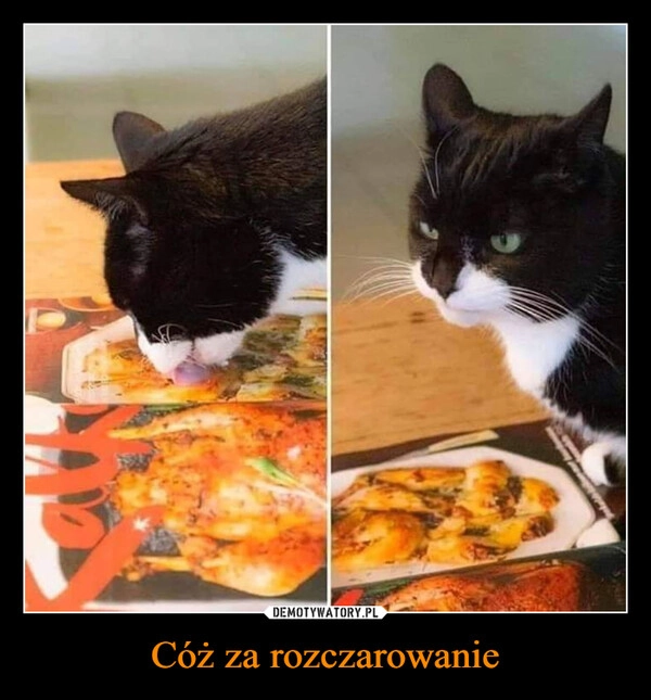 
    Cóż za rozczarowanie