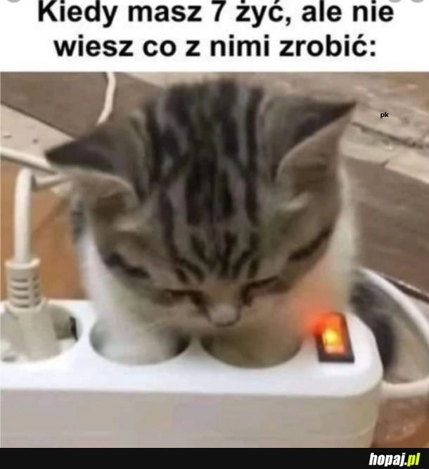 
    7 żyć