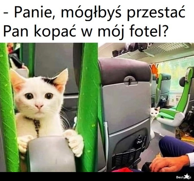 
    Pierwsze ostrzeżenie 