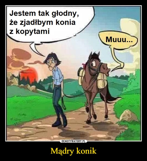 
    Mądry konik