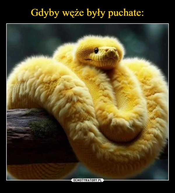 
    Gdyby węże były puchate: