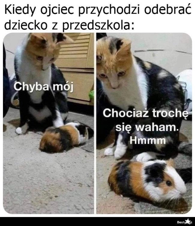 
    Zagwozdka 