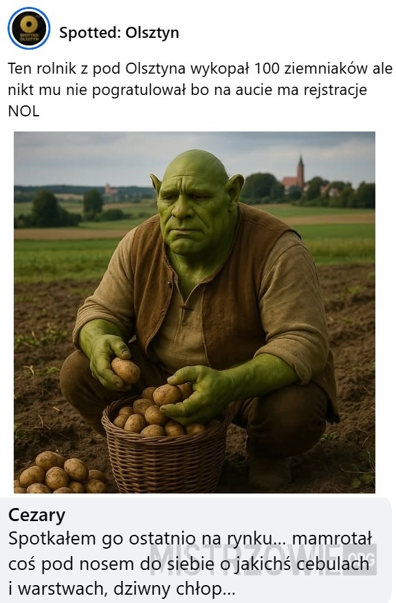 
    Rolnik