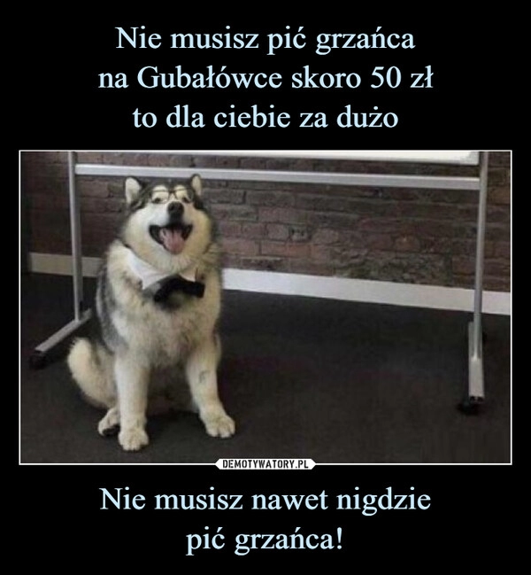 
    Nie musisz pić grzańca
na Gubałówce skoro 50 zł
to dla ciebie za dużo Nie musisz nawet nigdzie
pić grzańca!