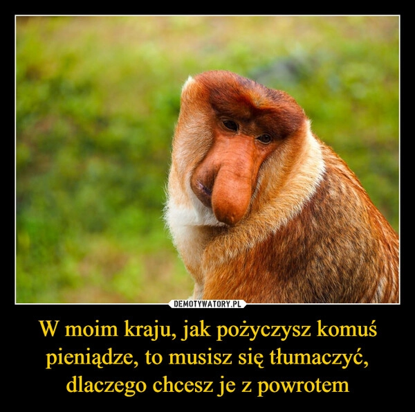 
    W moim kraju, jak pożyczysz komuś pieniądze, to musisz się tłumaczyć, dlaczego chcesz je z powrotem