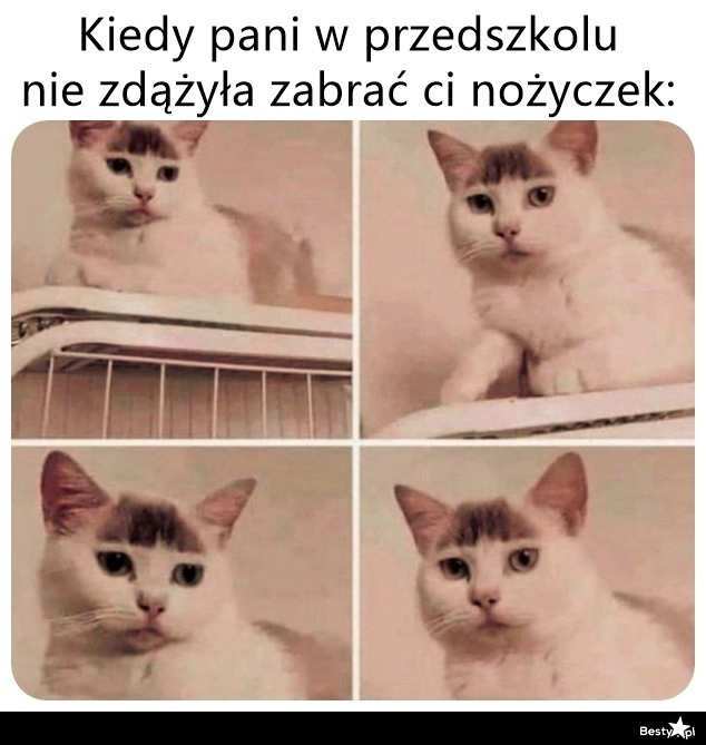 
    Grzywka 