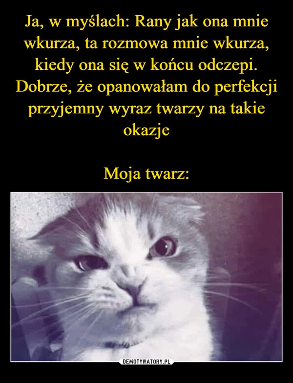 
    Ja, w myślach: Rany jak ona mnie wkurza, ta rozmowa mnie wkurza, kiedy ona się w końcu odczepi. Dobrze, że opanowałam do perfekcji przyjemny wyraz twarzy na takie okazje

Moja twarz: