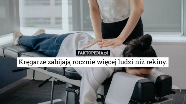 
    Kręgarze zabijają rocznie więcej ludzi niż rekiny.