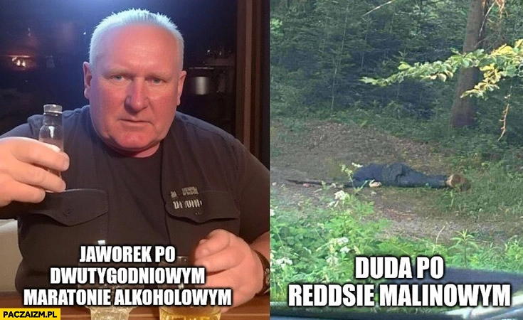 
    Jaworek po dwutygodniowym maratonie alkoholowym vs Duda po reddsie malinowym
