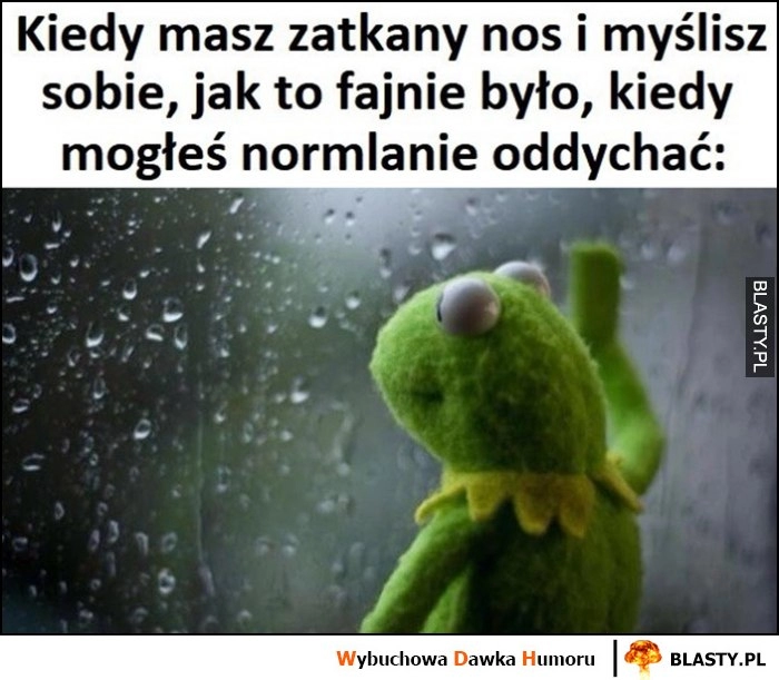 
    Kiedy masz zatkany nos i myślisz sobie jak to fajnie było, kiedy mogłes normalnie oddychać Kremit