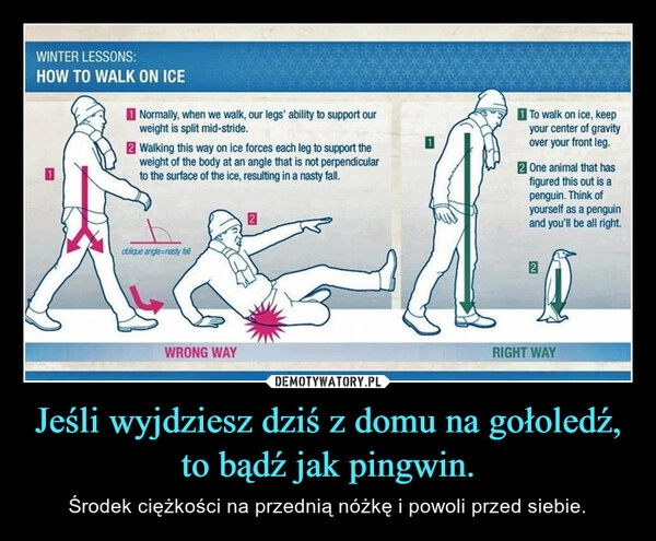 
    
Jeśli wyjdziesz dziś z domu na gołoledź, to bądź jak pingwin. 