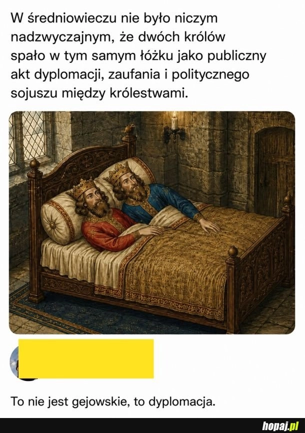 
    To nie to co myślisz, to dyplomacja