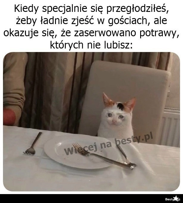 
    Flaczki? A nie, podziękuję. 