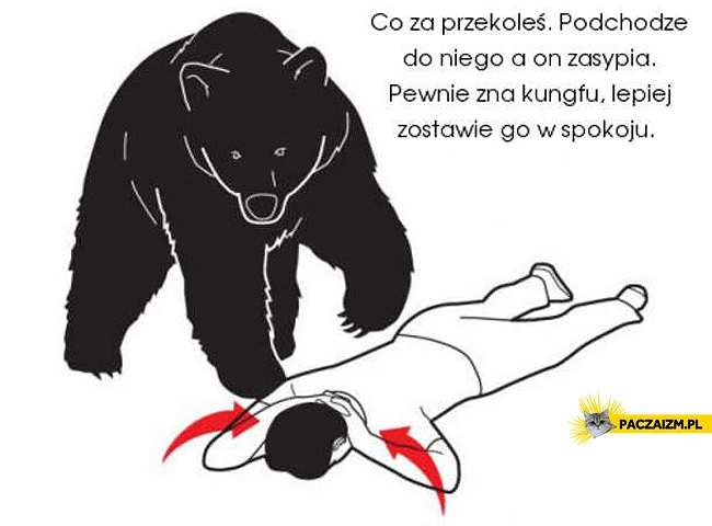 
    Sposób na atak niedźwiedzia