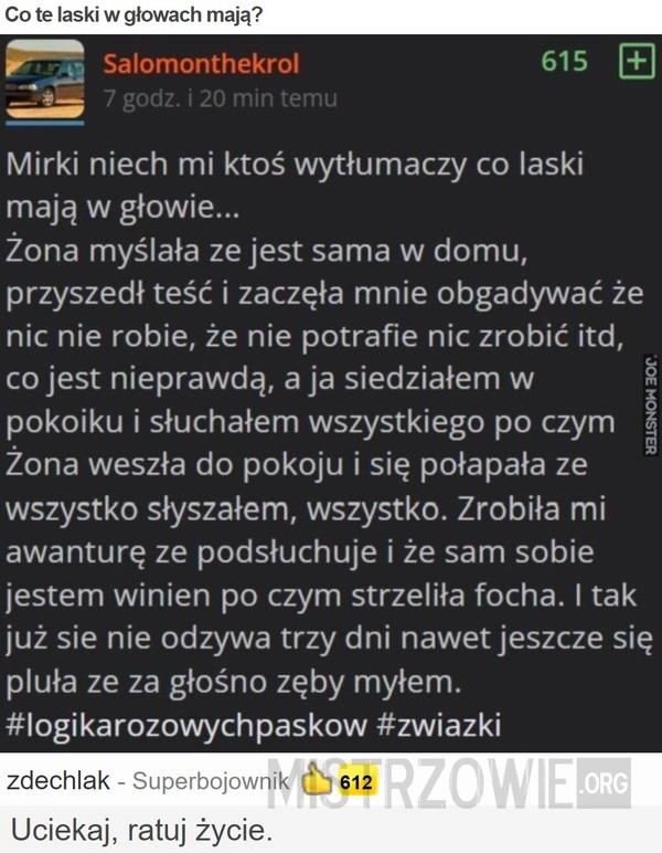 
    Co te laski w głowach mają?