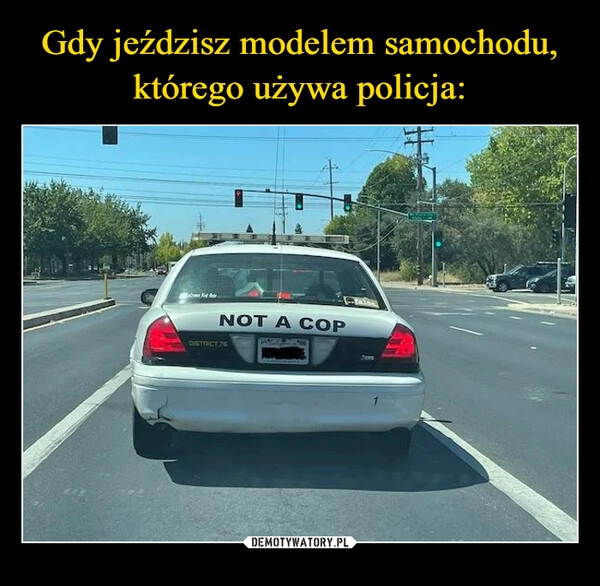 
    Gdy jeździsz modelem samochodu, którego używa policja: