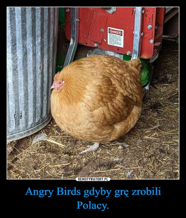 
    Angry Birds gdyby grę zrobili Polacy.