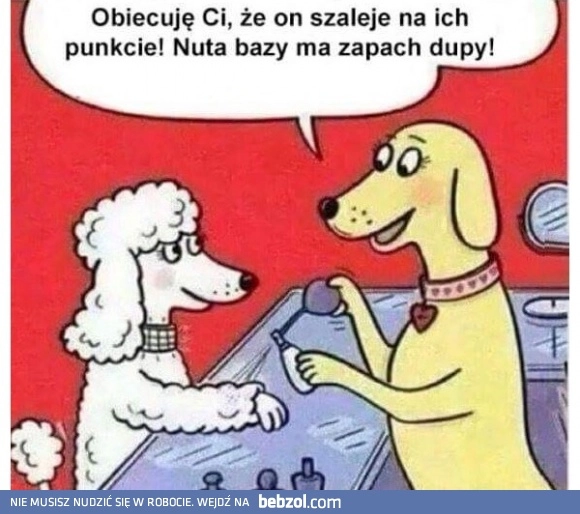 Pieski świat