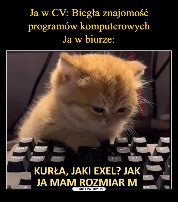 
    Ja w CV: Biegła znajomość programów komputerowych
Ja w biurze: