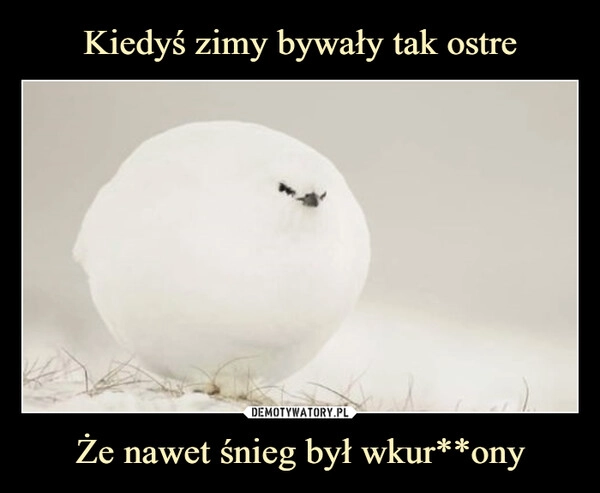 
    Kiedyś zimy bywały tak ostre Że nawet śnieg był wkur**ony