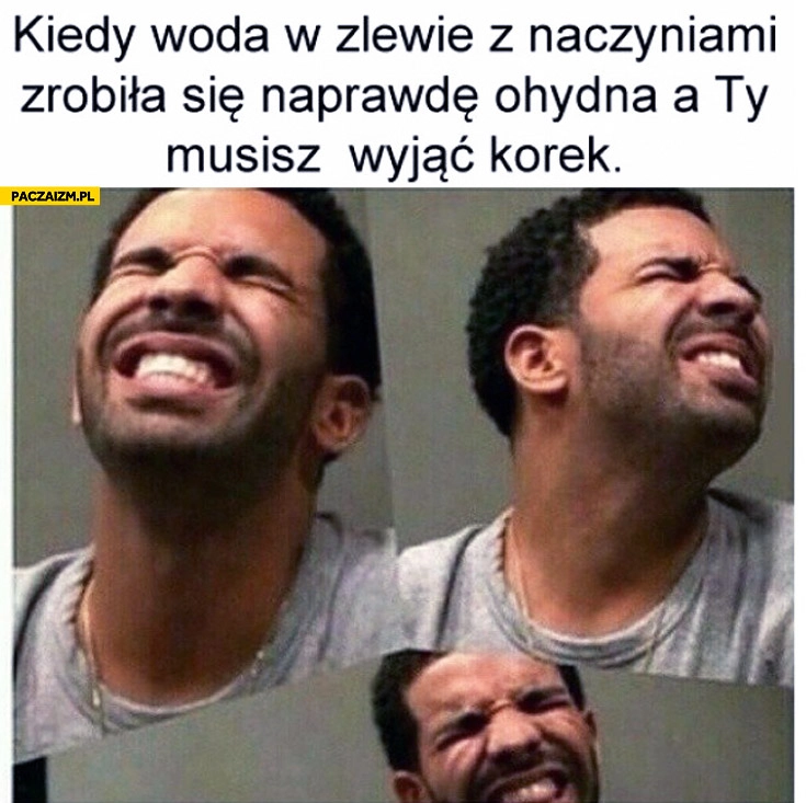 
    Kiedy woda w zlewie z naczyniami zrobiła się ohydna a Ty musisz wyjąć korek Drake