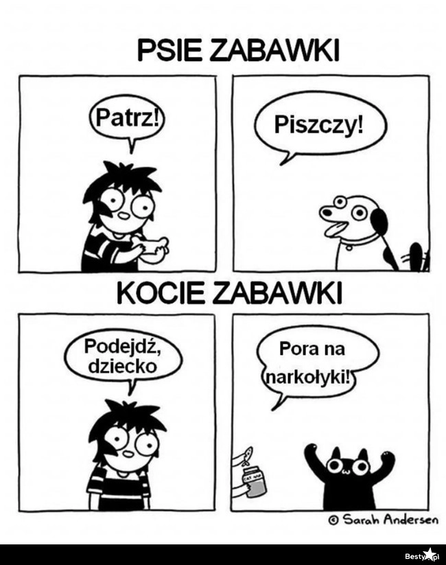 
    Psie zabawki vs. Kocie zabawki 