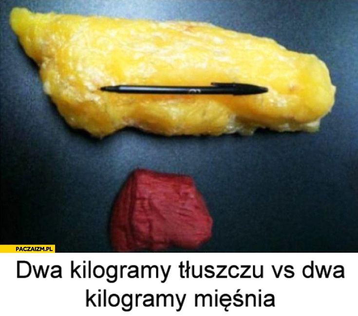 
    Dwa kilogramy tłuszczu vs dwa kilogramy mięśnia porównanie