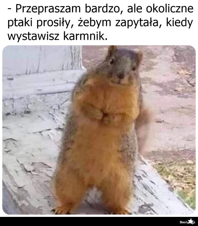 
    Ja z pytankiem 