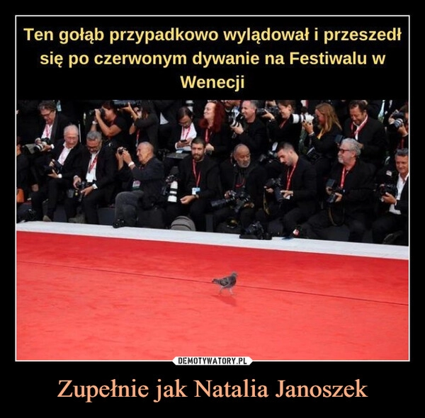 
    Zupełnie jak Natalia Janoszek