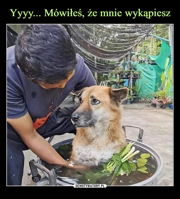 
    Yyyy... Mówiłeś, że mnie wykąpiesz