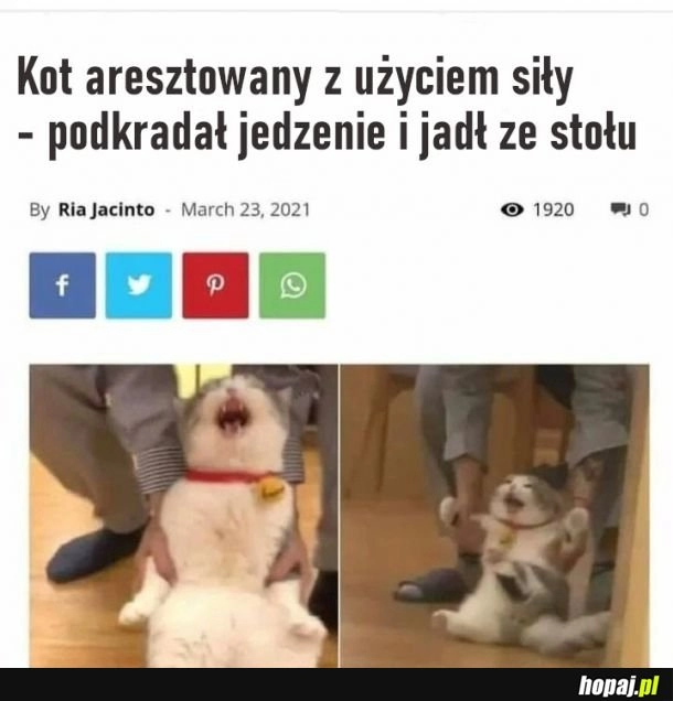 
    Stawiał opór