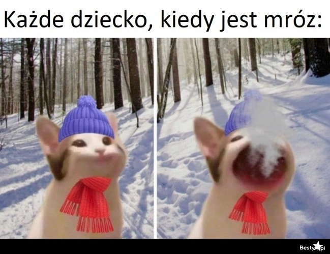 
    I nie tylko dziecko 