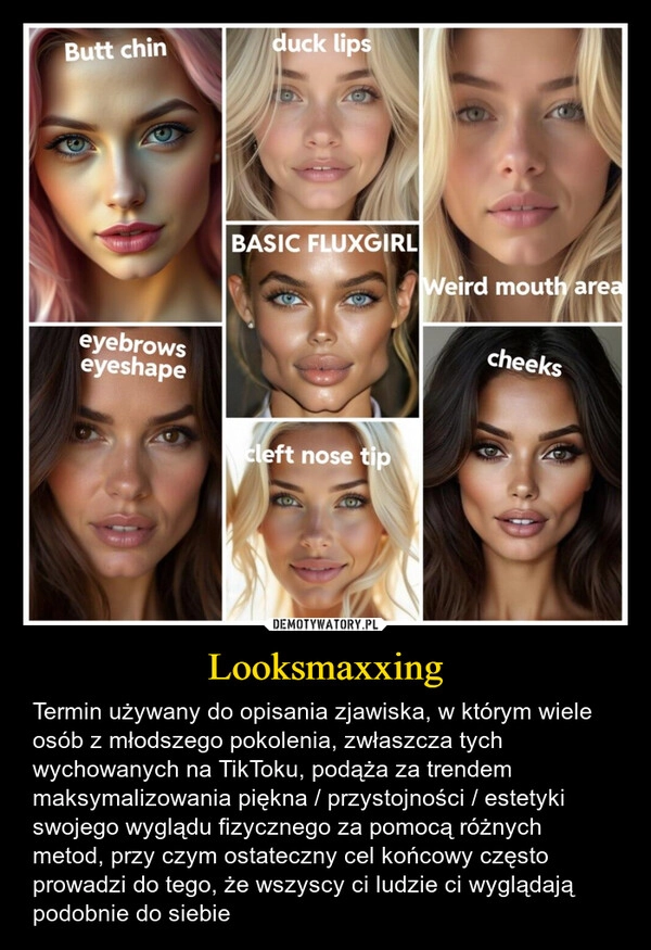 
    Looksmaxxing