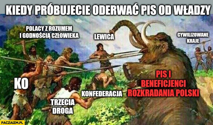 
    Mamut kiedy próbujecie oderwać PiS od władzy