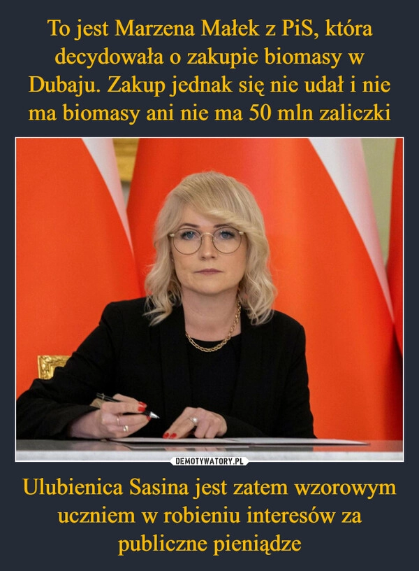 
    To jest Marzena Małek z PiS, która decydowała o zakupie biomasy w Dubaju. Zakup jednak się nie udał i nie ma biomasy ani nie ma 50 mln zaliczki Ulubienica Sasina jest zatem wzorowym uczniem w robieniu interesów za publiczne pieniądze